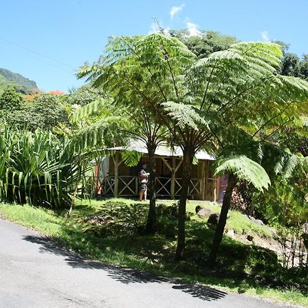 Natty Tropical Valley Roseau Luaran gambar