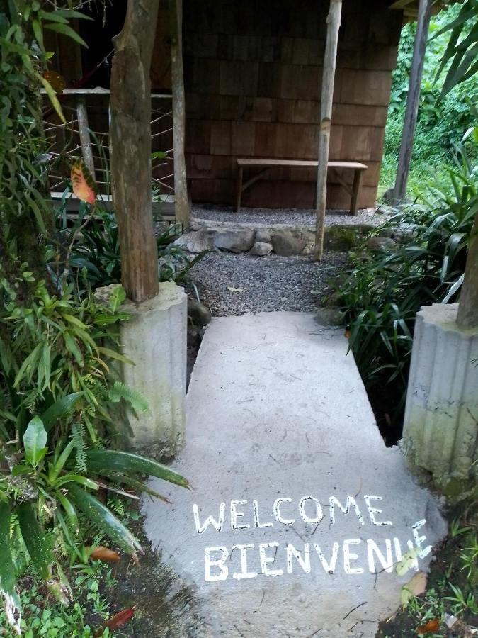 Natty Tropical Valley Roseau Luaran gambar