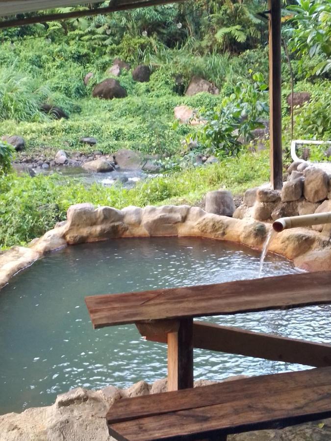 Natty Tropical Valley Roseau Luaran gambar