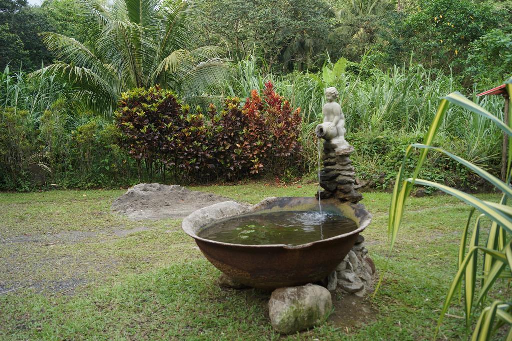 Natty Tropical Valley Roseau Luaran gambar