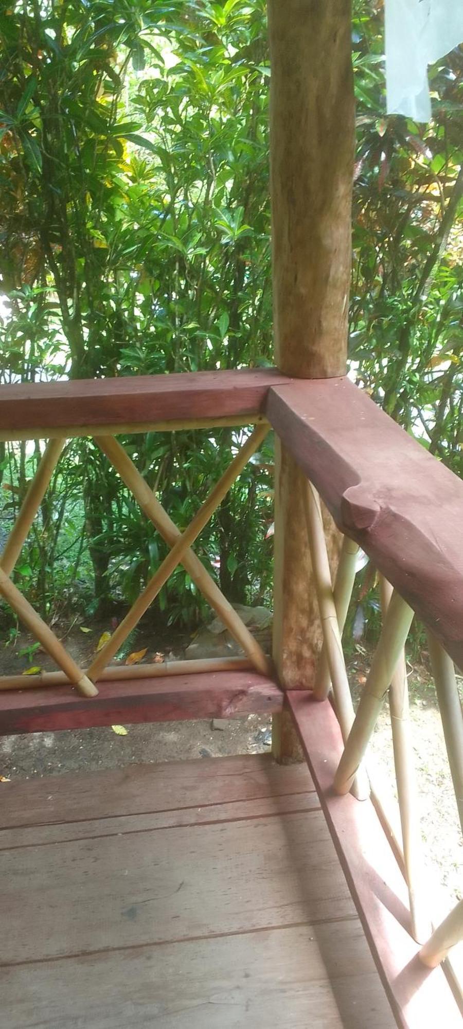 Natty Tropical Valley Roseau Luaran gambar