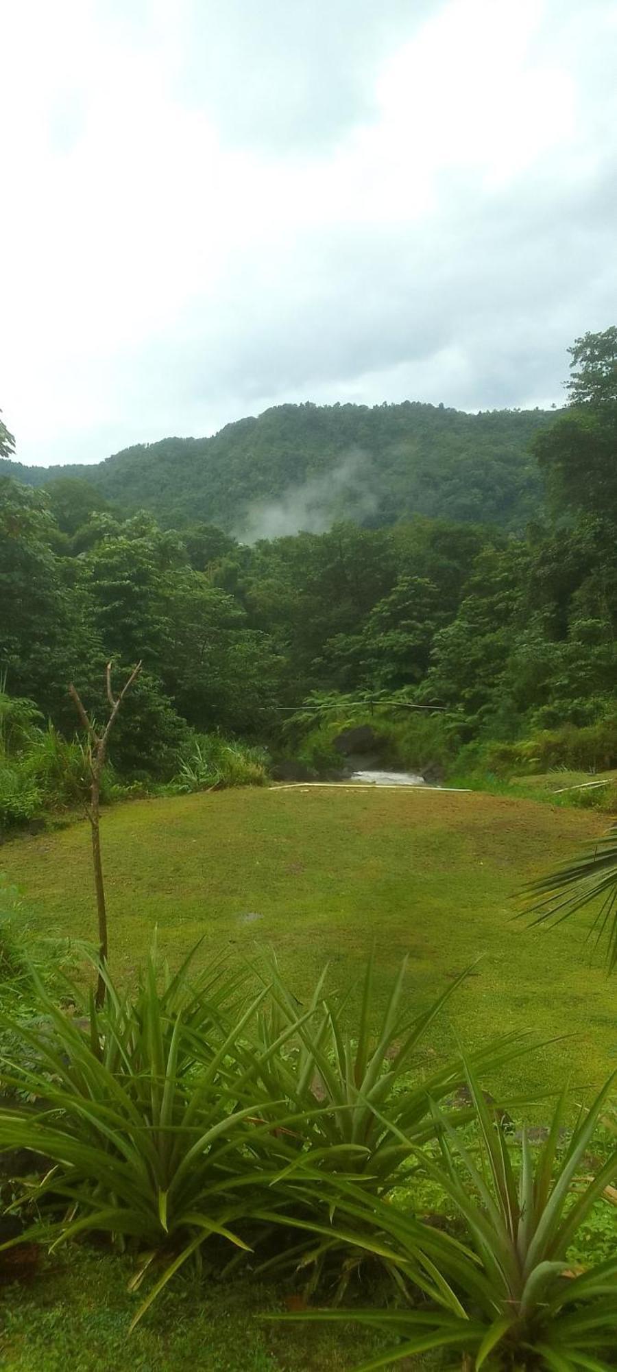 Natty Tropical Valley Roseau Luaran gambar