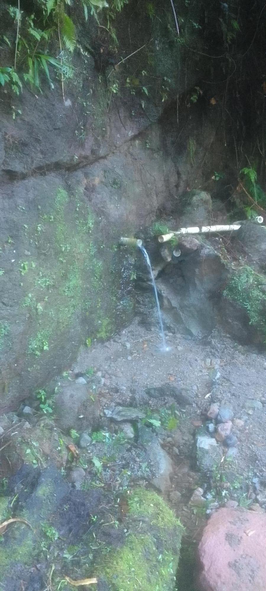 Natty Tropical Valley Roseau Luaran gambar