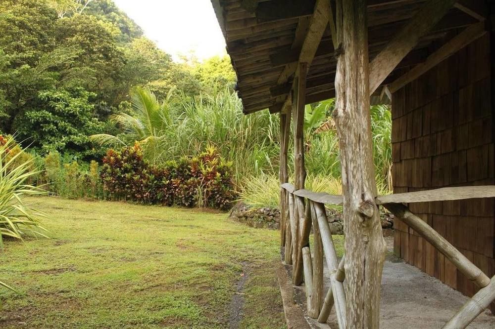 Natty Tropical Valley Roseau Luaran gambar