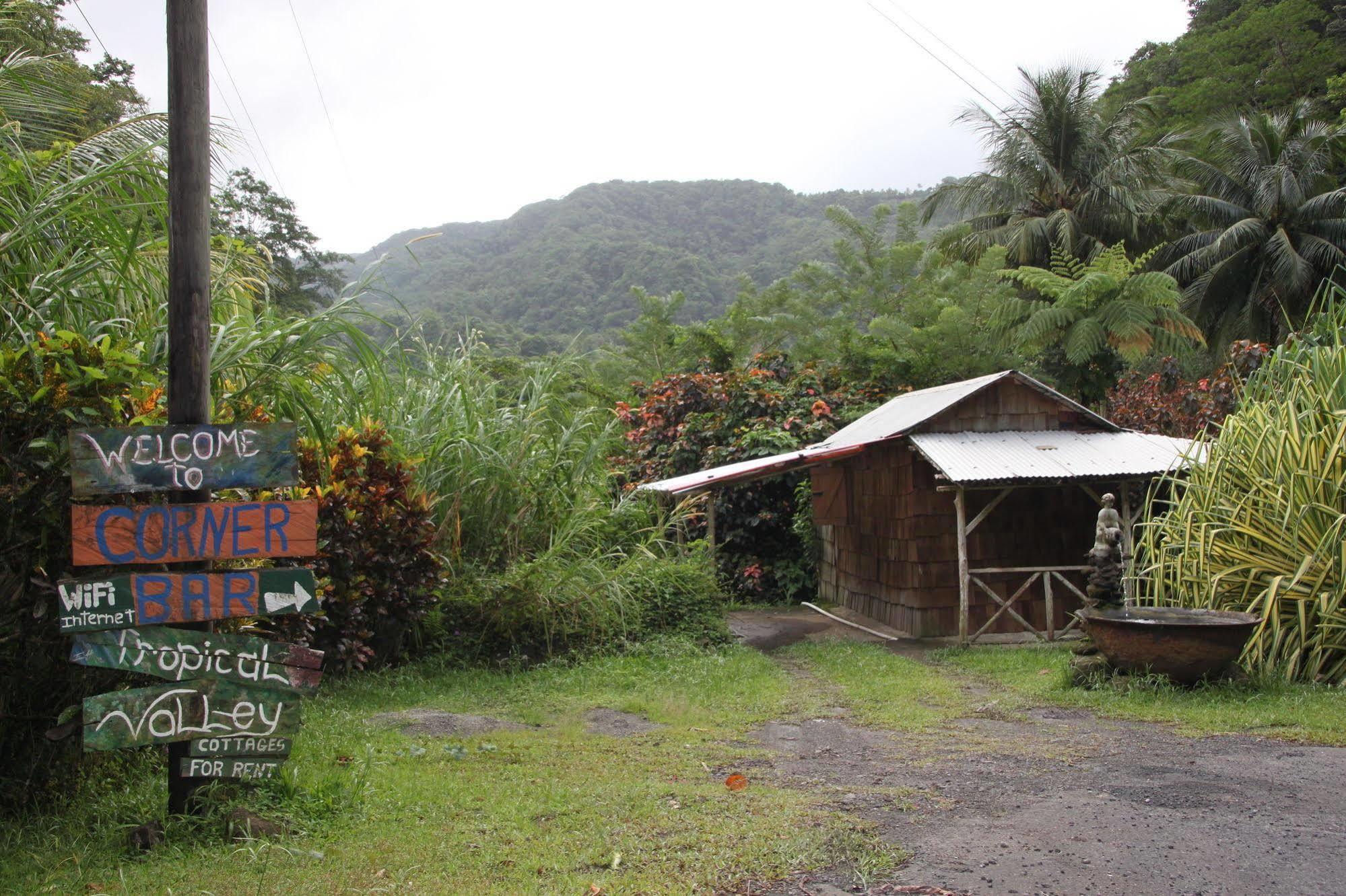 Natty Tropical Valley Roseau Luaran gambar